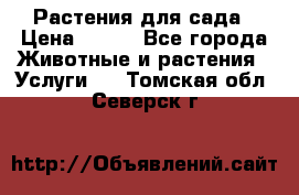 Растения для сада › Цена ­ 200 - Все города Животные и растения » Услуги   . Томская обл.,Северск г.